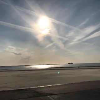 Appartement Sur Le Sable 2 3 Pers Wifi